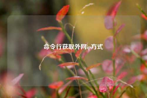 命令行获取外网ip方式